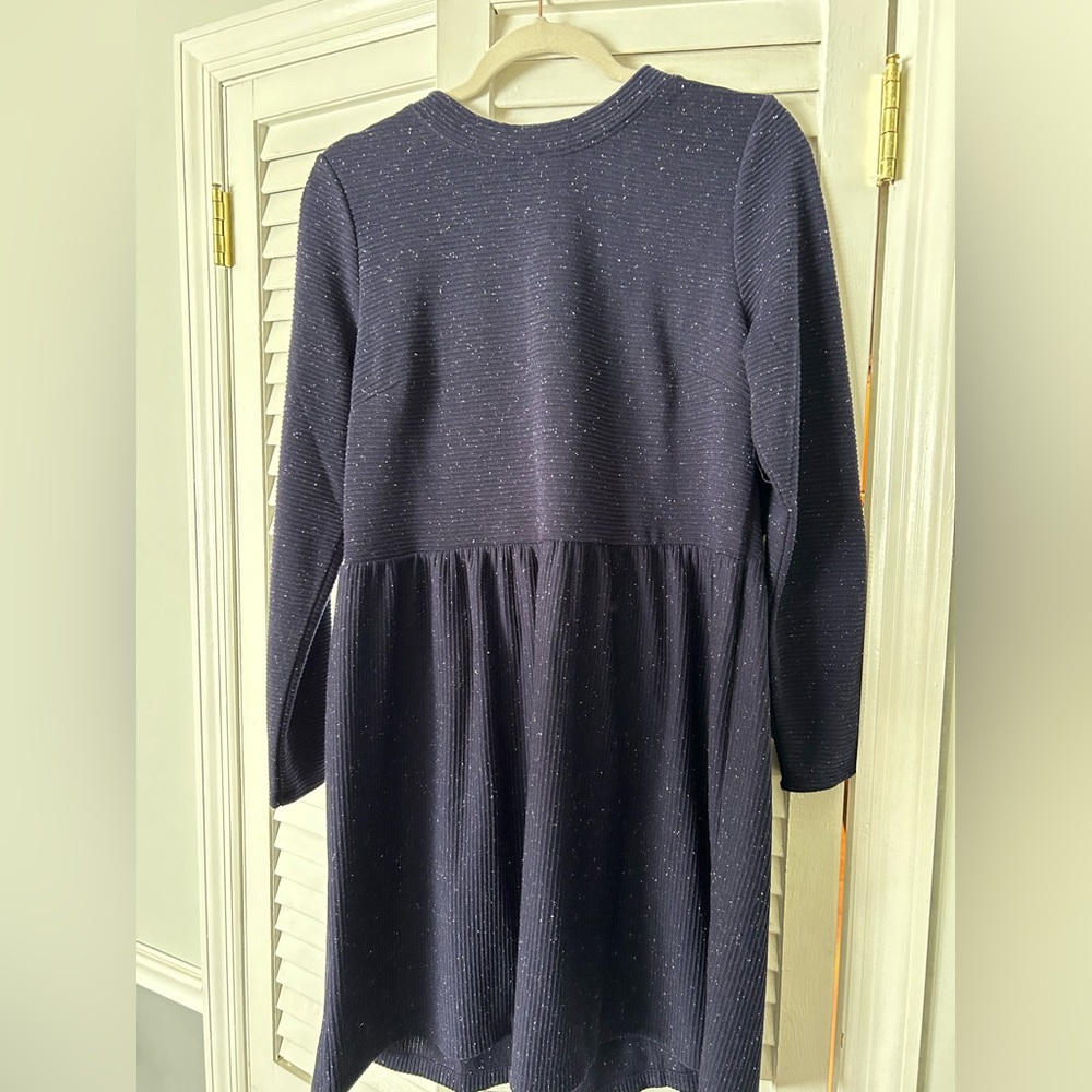 LOFT navy dress